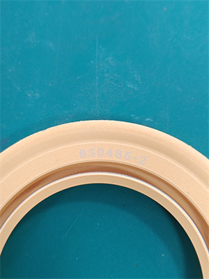 Centrifuge Pump Teflon Seal untuk lingkungan kimia