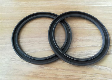 Fkm Lip Shaped TC Ganda Lip Spring Oil Seal, OEM Auto Truck Oil Seal